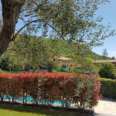 Casa Minerva Apartman Albisano Kültér fotó