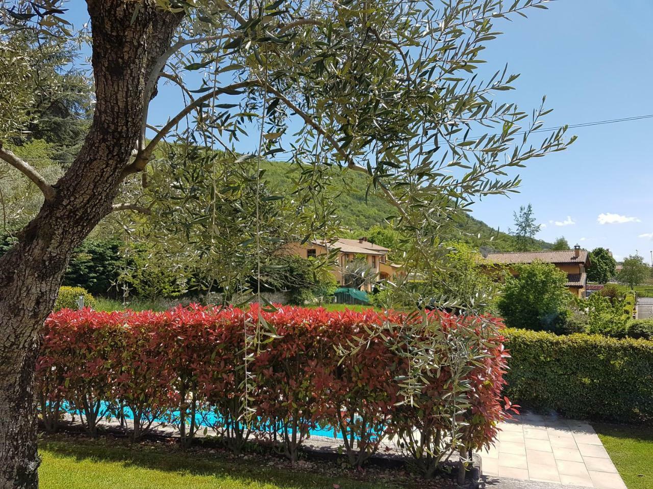 Casa Minerva Apartman Albisano Kültér fotó